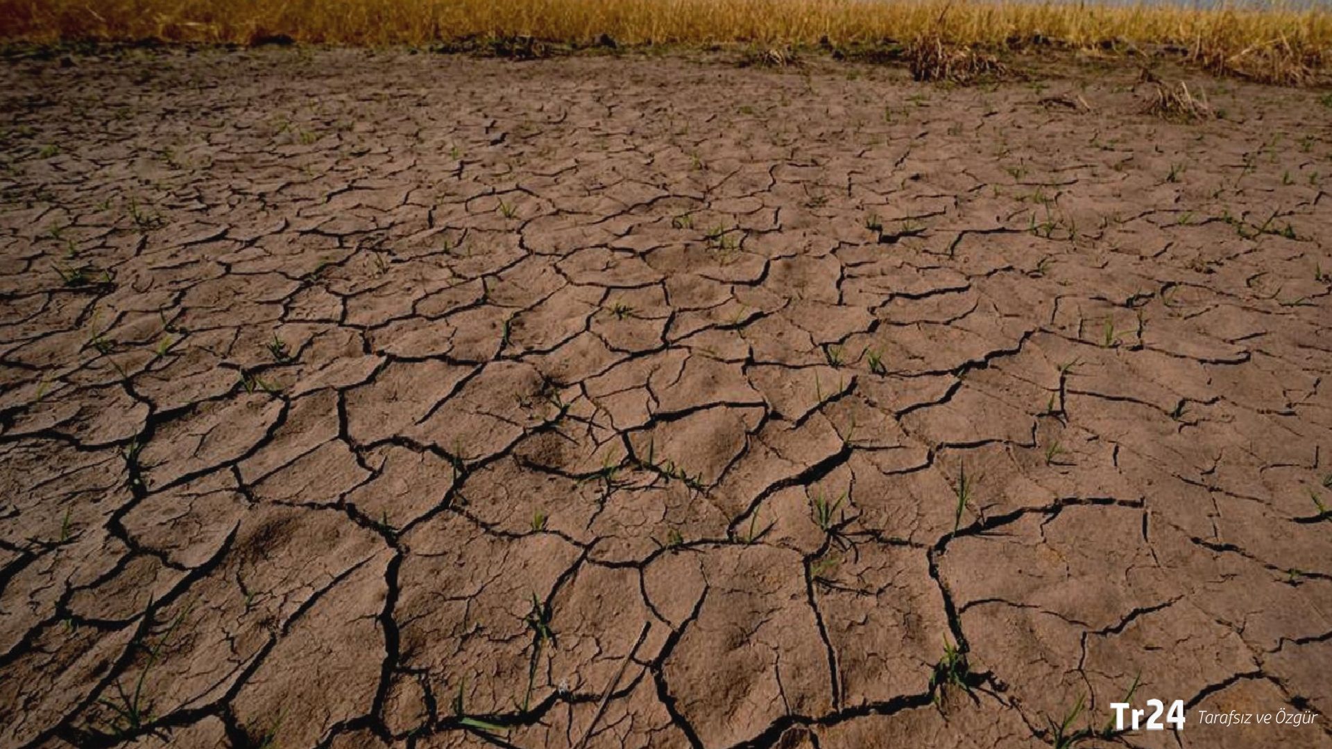 El Nino’nun etkileri devam ediyor: Dünyada nereler nasıl etkileniyor?
