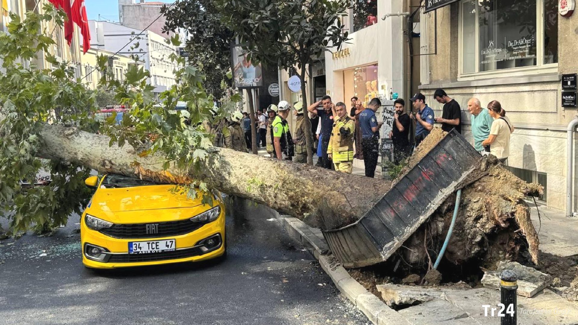 Nişantaşı’nda tehlike ucuz atlatıldı: Kökünden devrilen ağaç yoldan geçen araçların üzerine devrildi